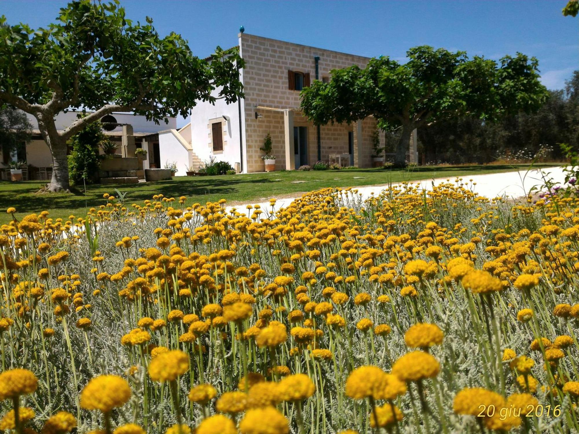 Masseria Vignenove Uggiano La Chiesa Dış mekan fotoğraf